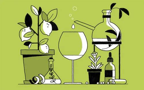 Minimalist botanical still life with plants and glassware by Paperface