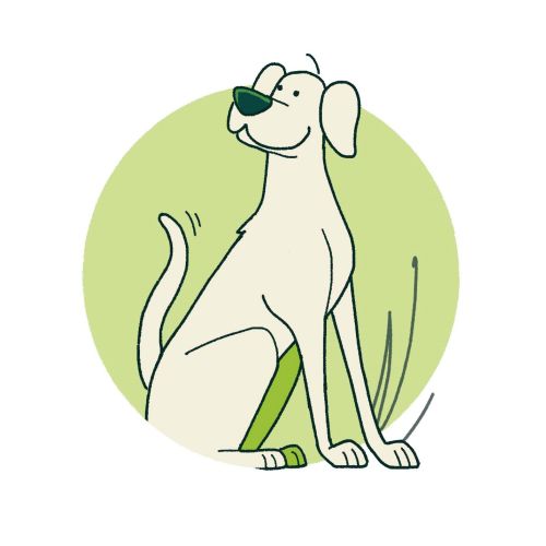 Playful dog cartoon for The Field Junior