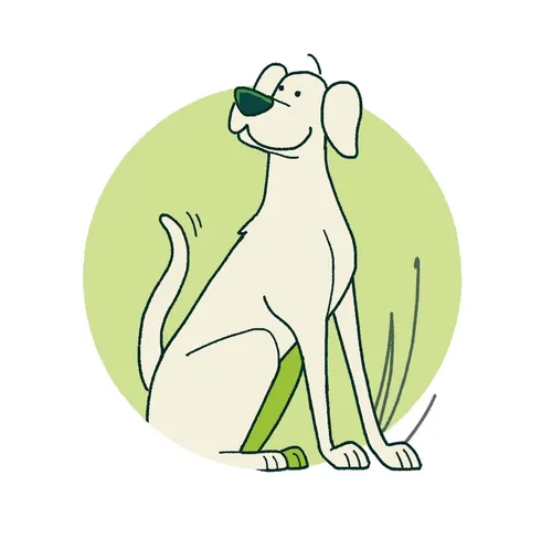 Playful dog cartoon for The Field Junior