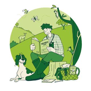 Paperface - Illustrator and Designer Based in UK