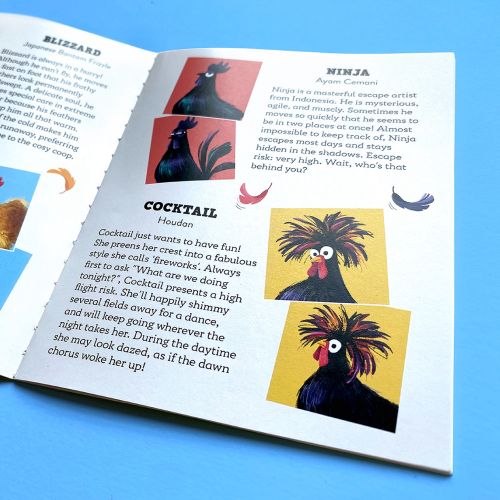 Illustrated chicken characters from Who Flew the Coop? card game