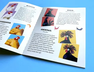 Illustrated chicken characters from Who Flew the Coop? card game