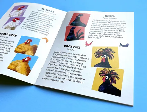 Illustrated chicken characters from Who Flew the Coop? card game