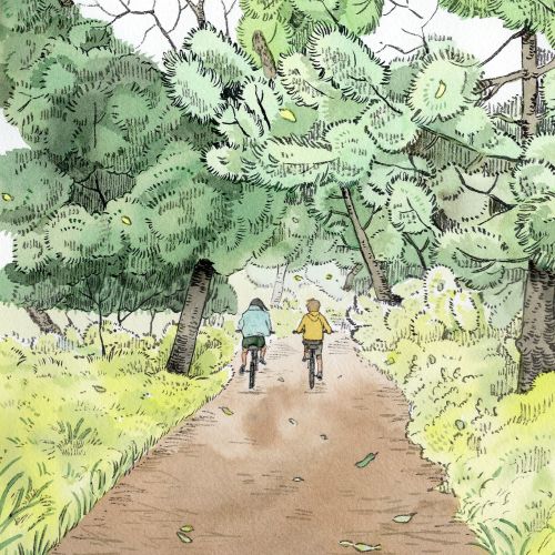 Cyclist on rural road surrounded by nature