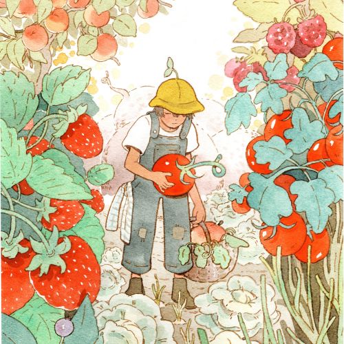 Photo of a cherry orchard during harvest season