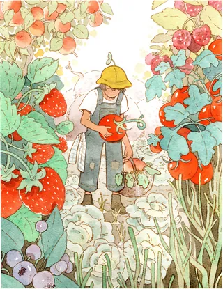 Photo of a cherry orchard during harvest season