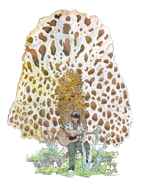 Illustration by Parakid of person playing guitar under spotted mushroom