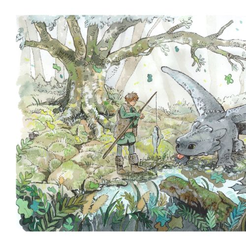 Parakid Acuarela Illustrator from United States