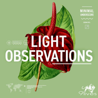 Observations de lumière naturelle
