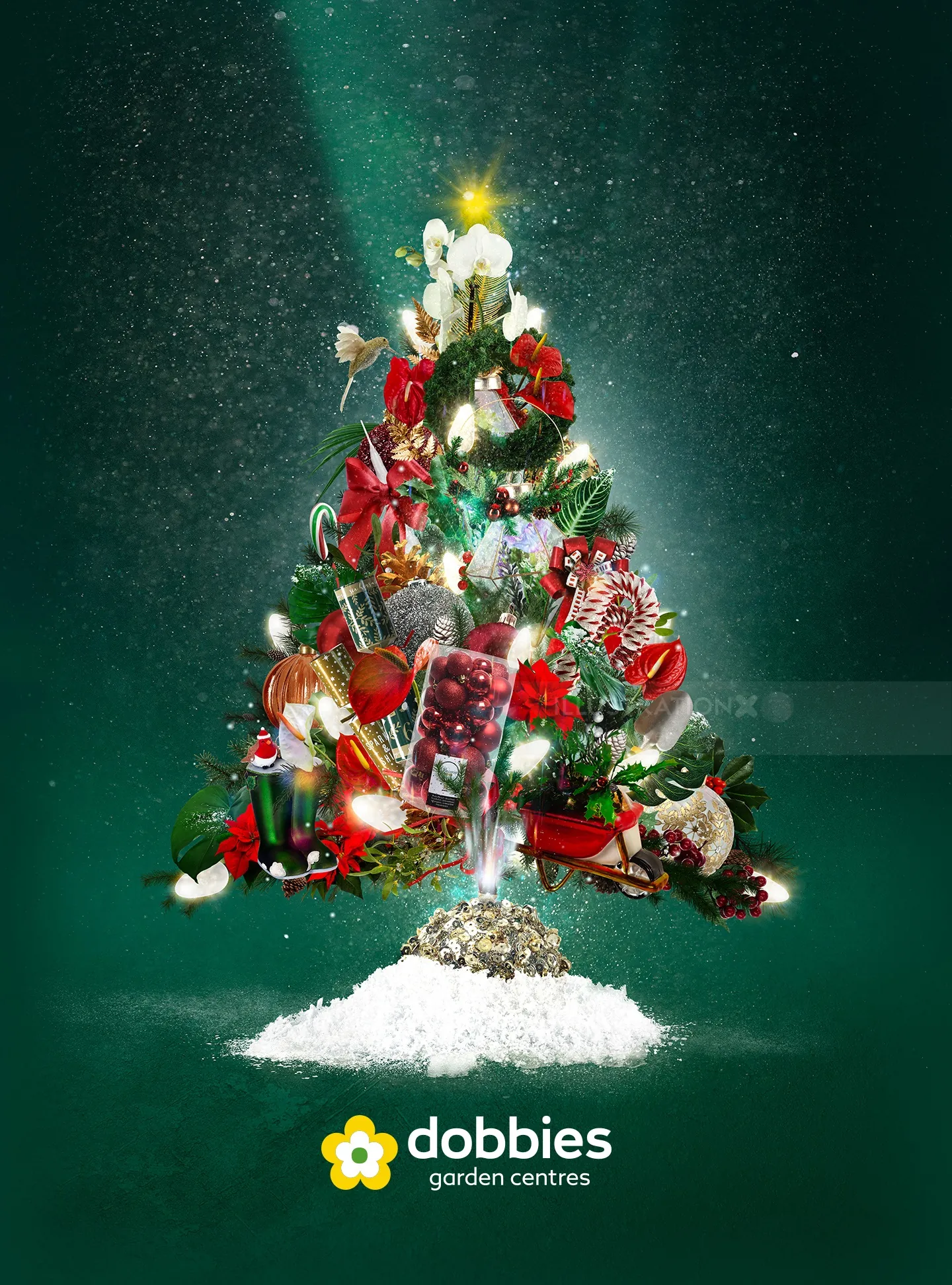 Sapin de Noël avec lumières et décorations dans la campagne Dobbies par Patrick Boyer