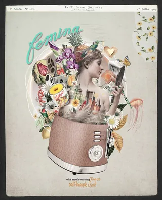 Surreal collage of woman and flowers in a toaster by Patrick Boyer