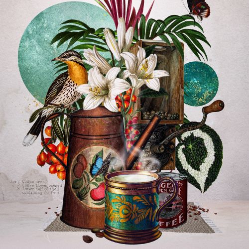 Vintage coffee still life with birds and tropical plants by Patrick Boyer