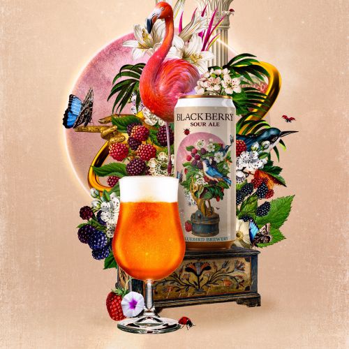Glass of blackberry sour ale with flamingo and fruit artwork by Patrick Boyer