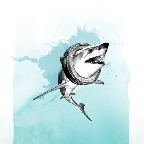 Animals Art of Shark with Tube around it
