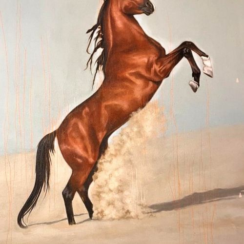 Brown horse standing on hind legs with dust around hooves