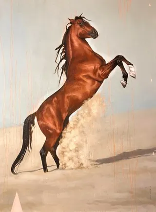 Brown horse standing on hind legs with dust around hooves