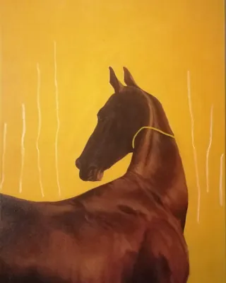Brown horse looking backward on a yellow background painting