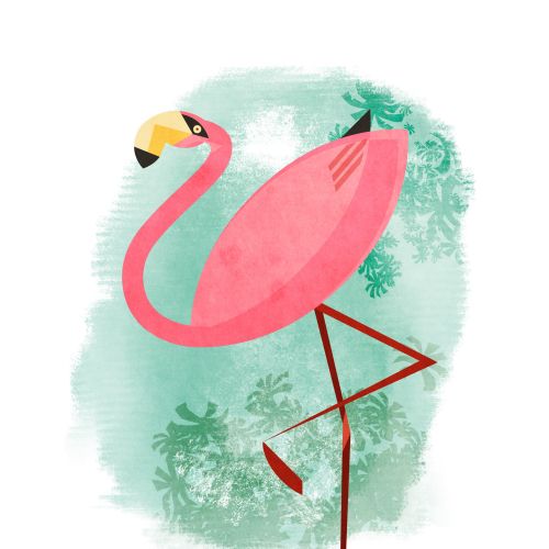Graphic Flamingo
