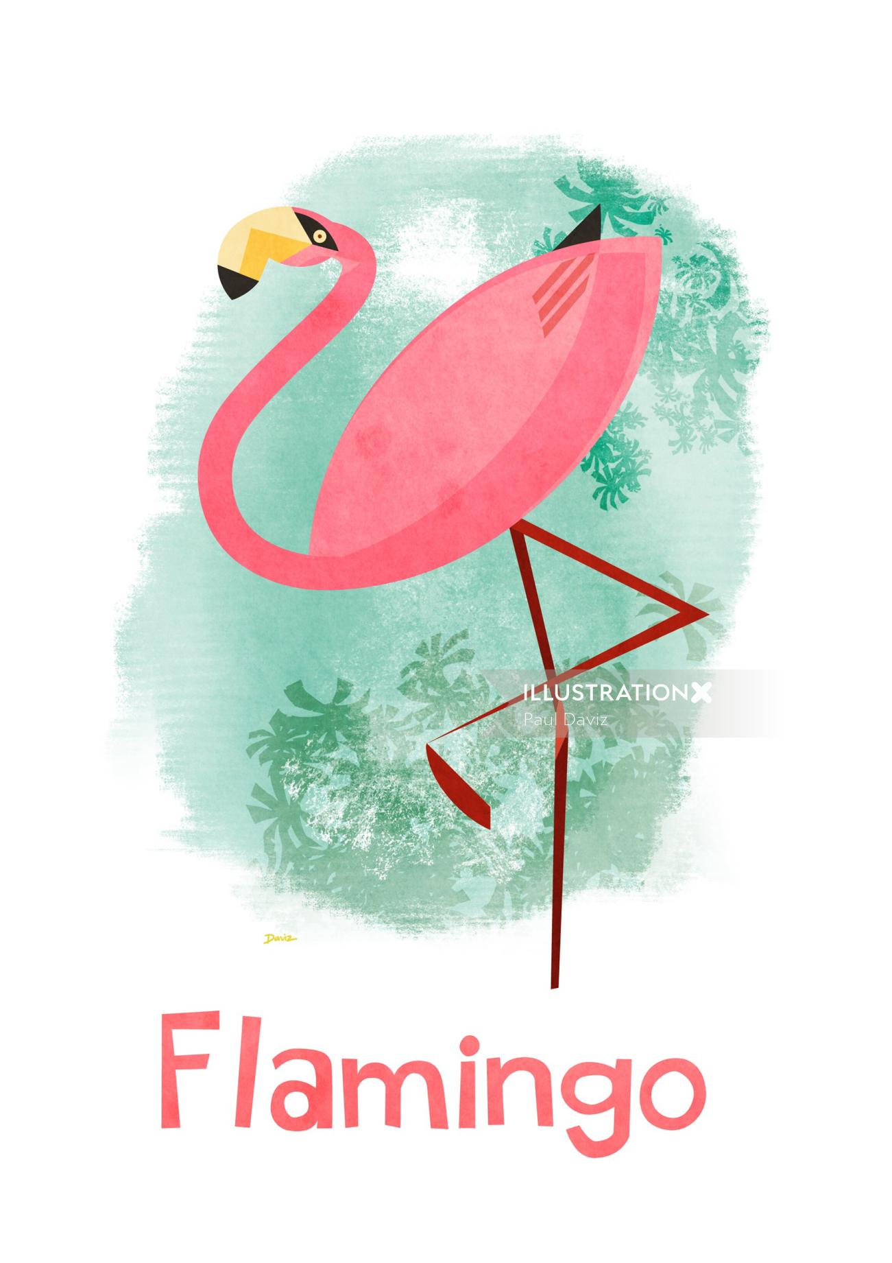 Flamingo Gráfico