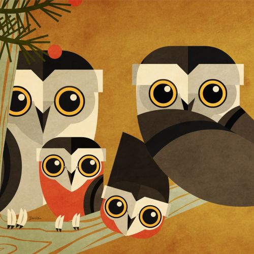 Owls Graphic art for American National  Insurance
