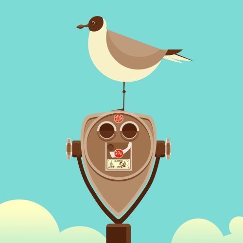 Computer Generated Bird siting on binoculars
