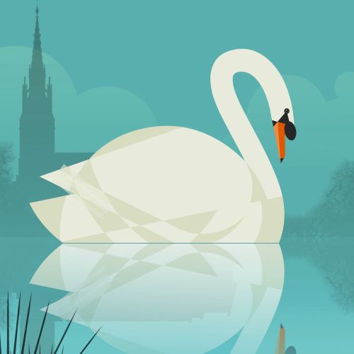 Vector illustration of Tundra swan
