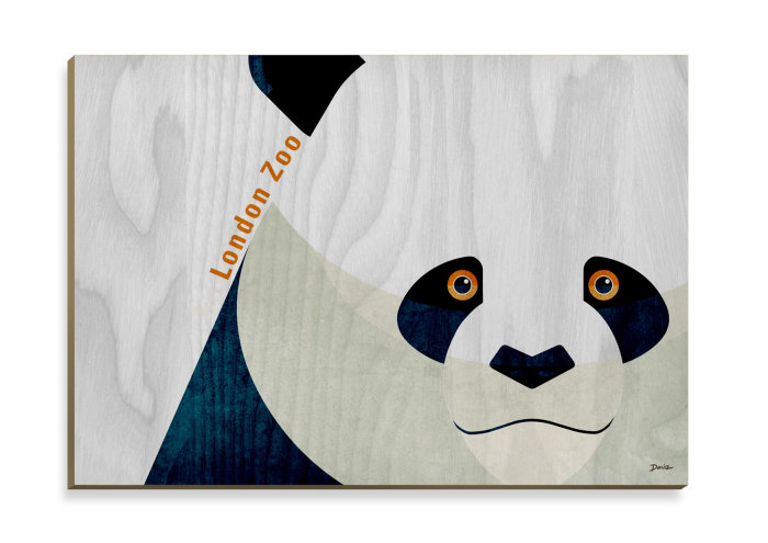Panda - postcard design
