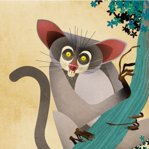 Illustration of Jungle Monkey
