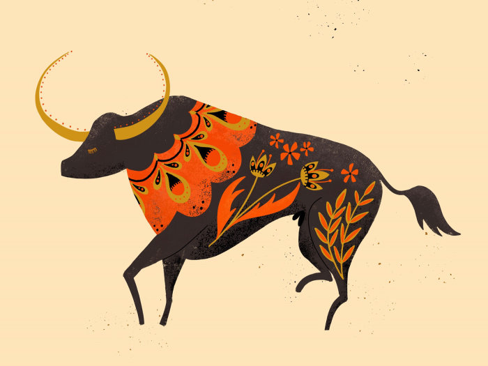 Graphic art of bull