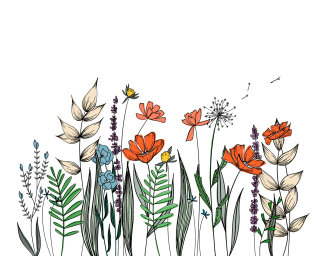 Dibujo lineal botánico de Peggy Dean