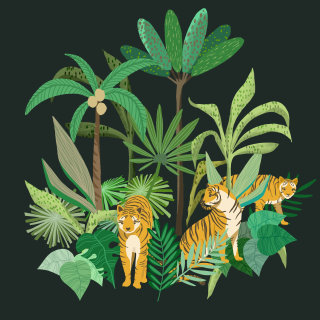 Ilustração da vida selvagem de tigres