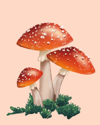 Pintura realista de cogumelos marrons