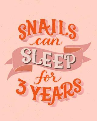 Text saying snails can sleep for 3 years on pink background