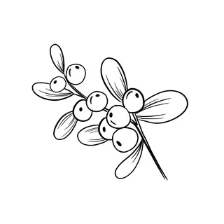 Line art of mistletoe branch with leaves and berries