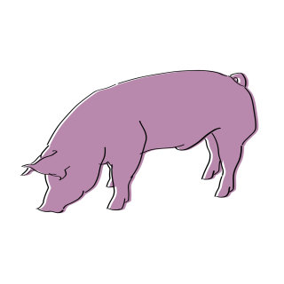 Icono de cerdo de color rosa
