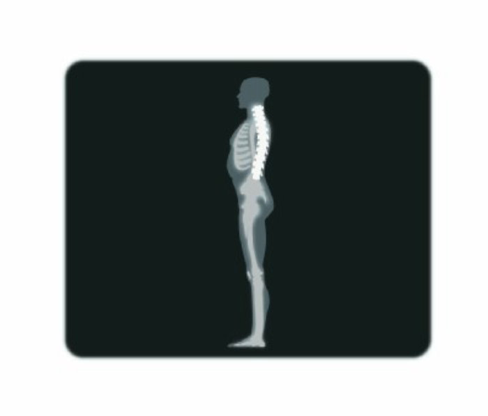 An X-ray illustration of man while standing