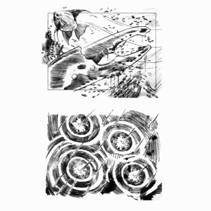Storyboard of Fish and crab

