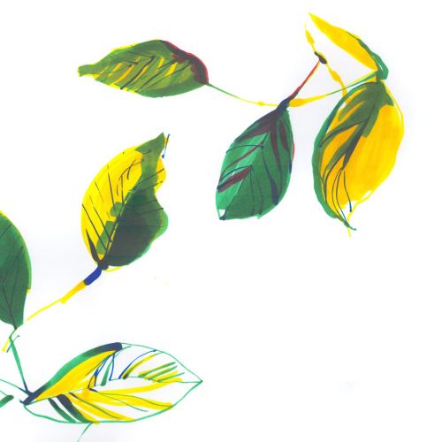 Green and yellow leaves on white background illustration