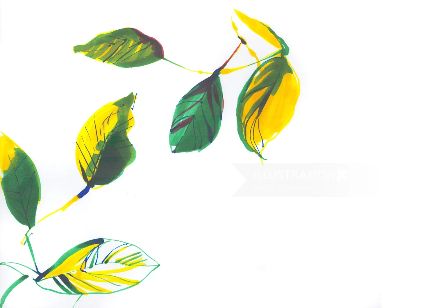 Green and yellow leaves on white background illustration