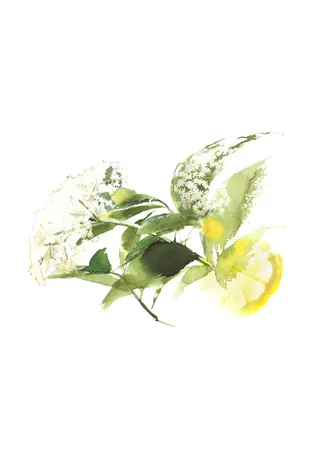 Butterfly resting on green leaves near a yellow flower