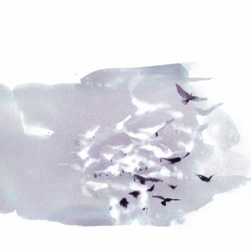 watercolor painting birds in sky
