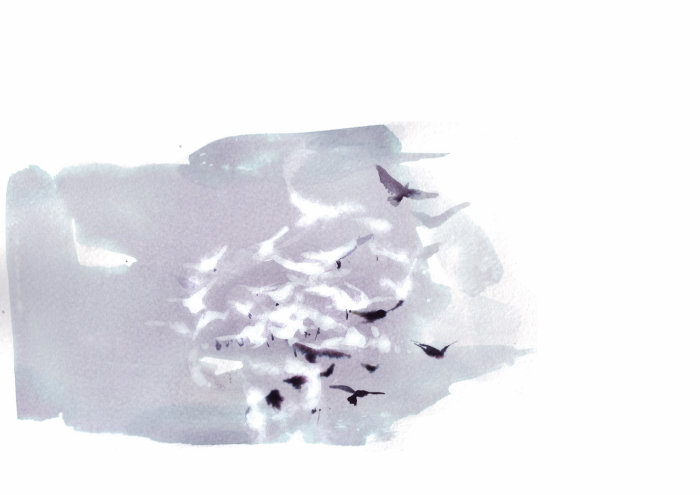 watercolor painting birds in sky
