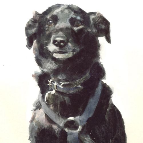 Black dog illustration by Philip Bannister