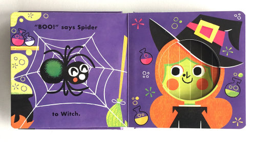 Spider illustrated book cover