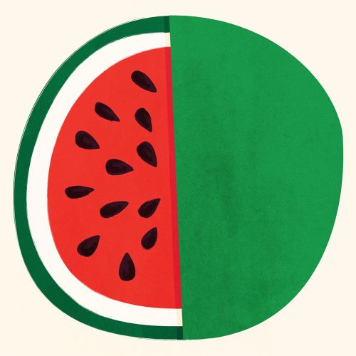 Editorial illustration of watermelon