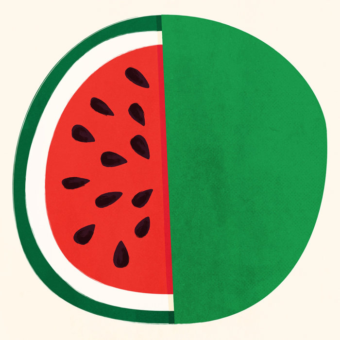 Editorial illustration of watermelon