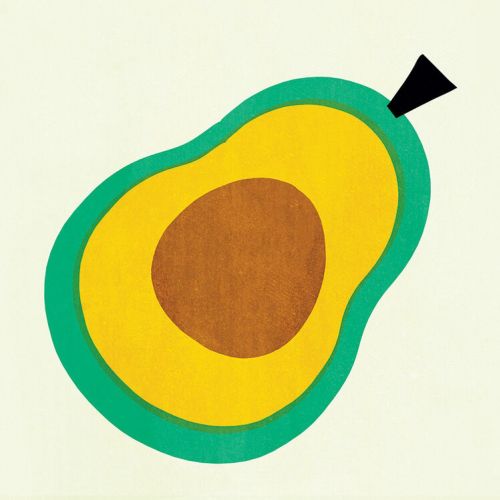 Avocado fruit cartoon illustration