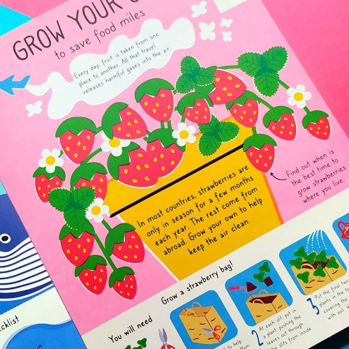 Illustration explaining steps to grow strawberries at home