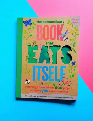 Book cover of The Extraordinary Book That Eats Itself with butterflies and bees