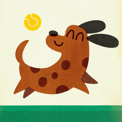 Brown spotted dog happily chasing yellow tennis ball